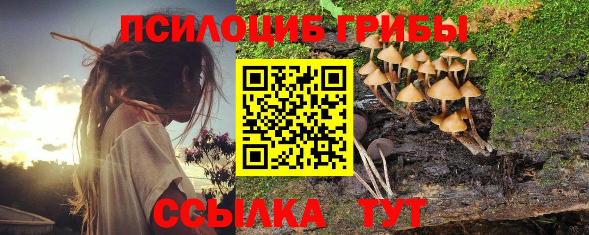 Псилоцибиновые грибы Psilocybe  Псилоцибиновые грибы GOLDEN TEACHER  Томск  Вход с VPN 