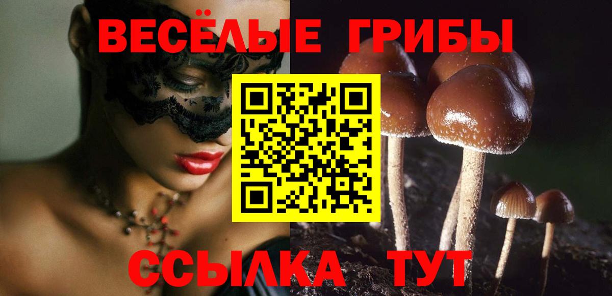 Галлюциногенные грибы ЛСД Томск